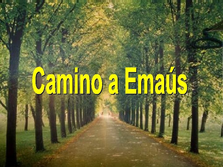 Un día dos amigos estaban caminando por el camino a Emaús. Algo terrible había