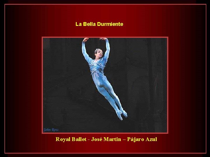 La Bella Durmiente Royal Ballet - José Martin – Pájaro Azul 