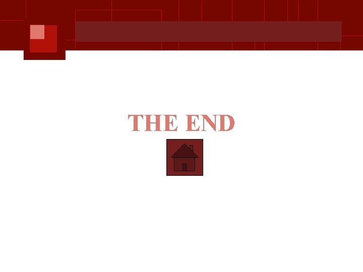 THE END 
