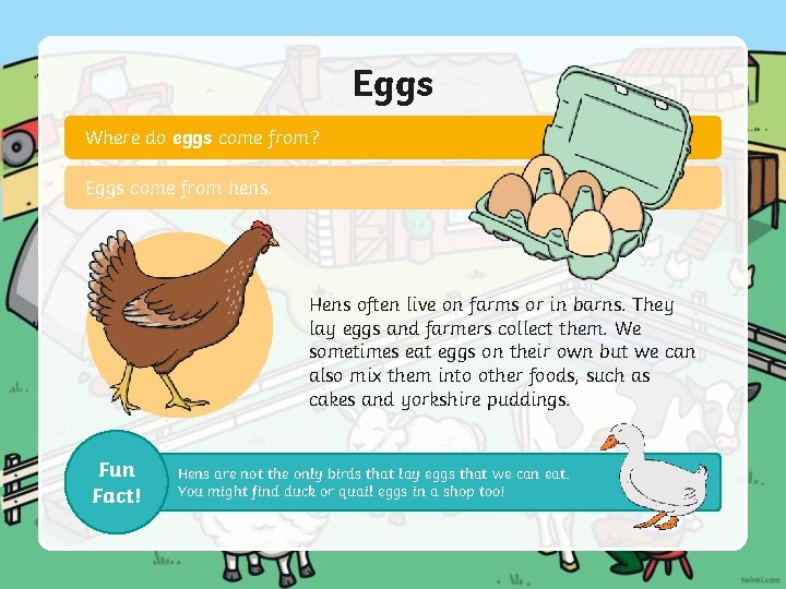 Eggs Where do eggs come from? Eggs come from hens. Hens often live on