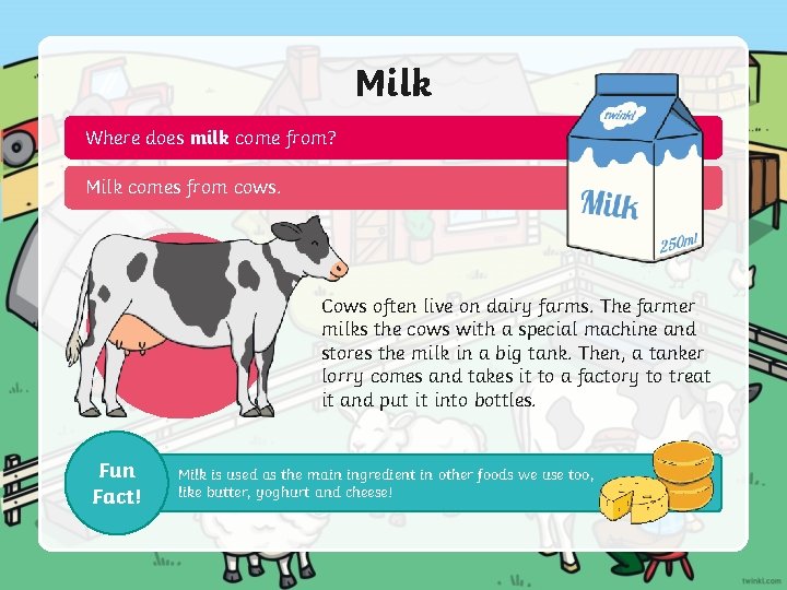 Milk Where does milk come from? Milk comes from cows. Cows often live on