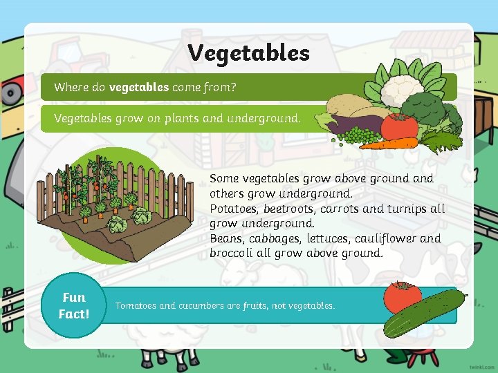 Vegetables Where do vegetables come from? Vegetables grow on plants and underground. Some vegetables