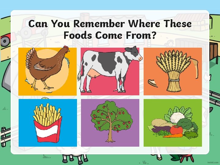 Can You Remember Where These Foods Come From? 
