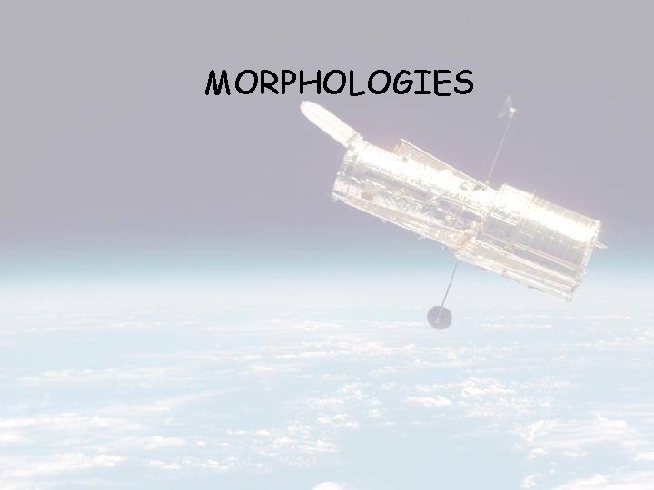 MORPHOLOGIES 