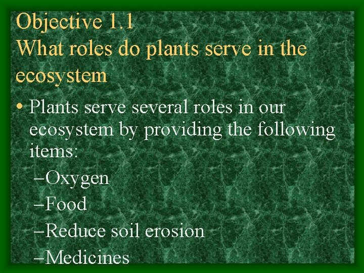 Objective 1. 1 What roles do plants serve in the ecosystem • Plants serve