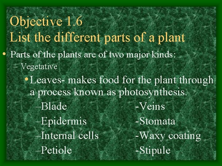 Objective 1. 6 List the different parts of a plant • Parts of the