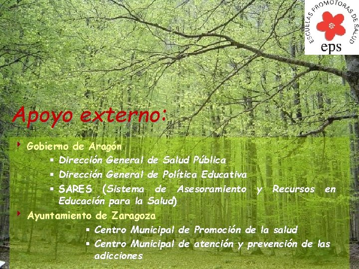Apoyo externo: 4 Gobierno de Aragón § Dirección General de Salud Pública § Dirección