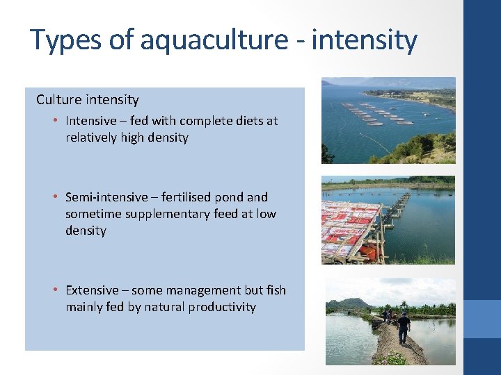 Types of aquaculture - intensity Culture intensity • Intensive – fed with complete diets