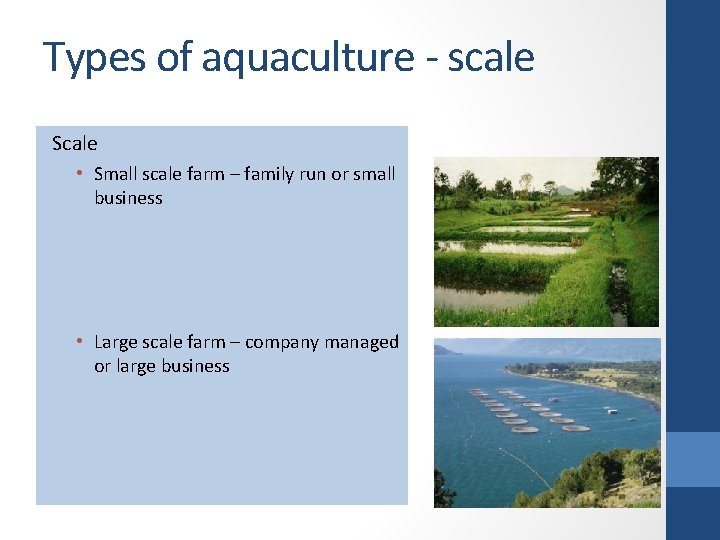 Types of aquaculture - scale Scale • Small scale farm – family run or