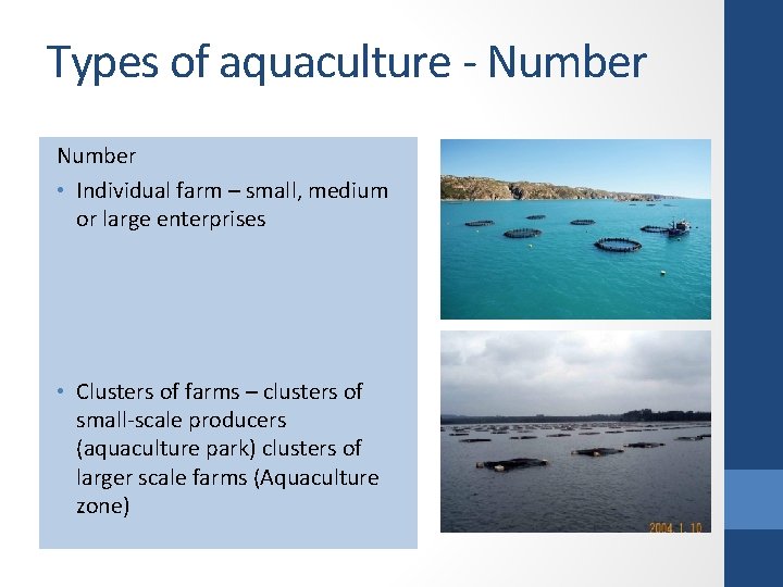 Types of aquaculture - Number • Individual farm – small, medium or large enterprises