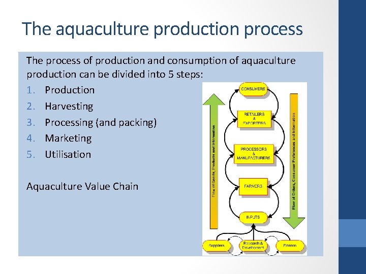 The aquaculture production process The process of production and consumption of aquaculture production can