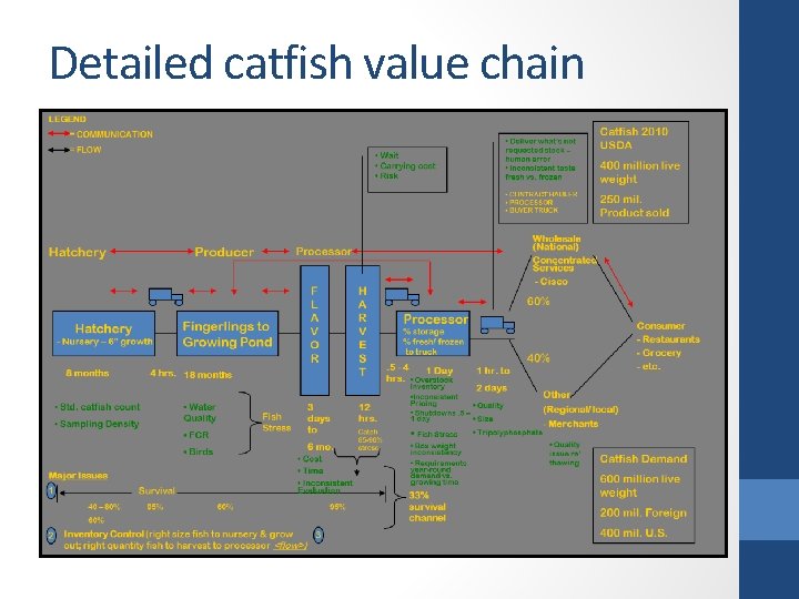 Detailed catfish value chain 