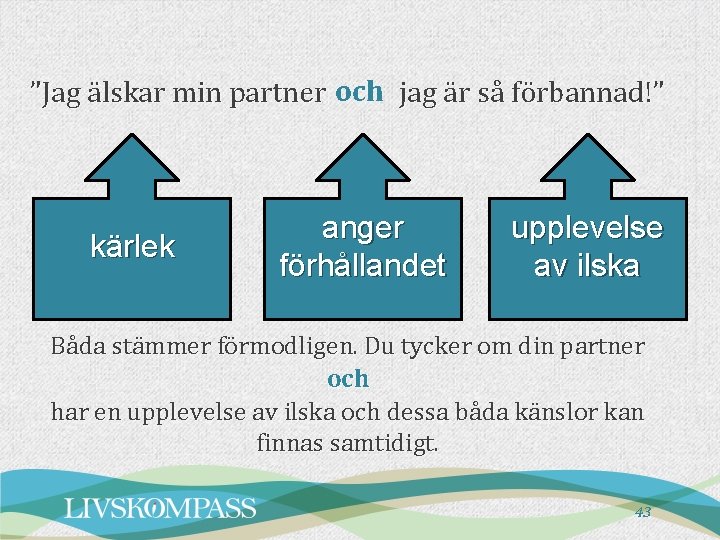 ”Jag älskar min partner och jag är så förbannad!” kärlek anger förhållandet upplevelse av ”Jag älskar min partner och jag är så förbannad!” kärlek anger förhållandet upplevelse av
