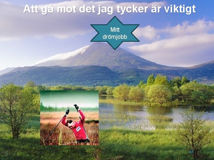 Att gå mot det jag tycker är viktigt Mitt drömjobb 46 Att gå mot det jag tycker är viktigt Mitt drömjobb 46