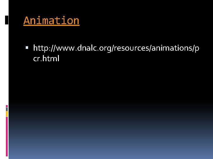 Animation http: //www. dnalc. org/resources/animations/p cr. html 