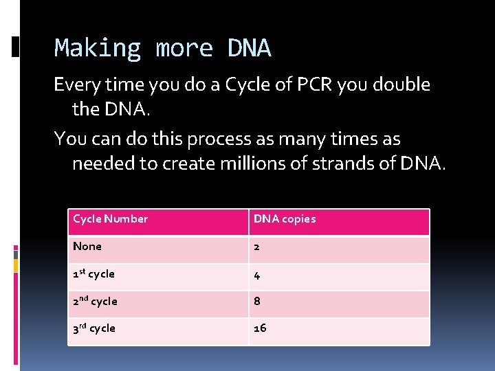 Making more DNA Every time you do a Cycle of PCR you double the