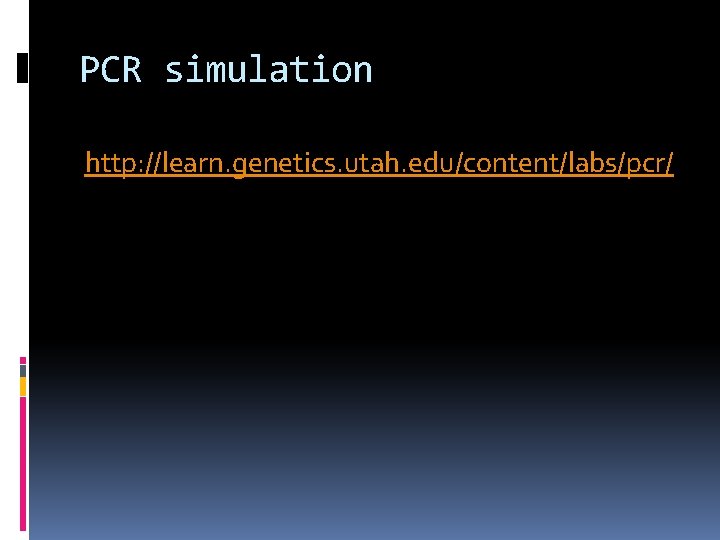 PCR simulation http: //learn. genetics. utah. edu/content/labs/pcr/ 