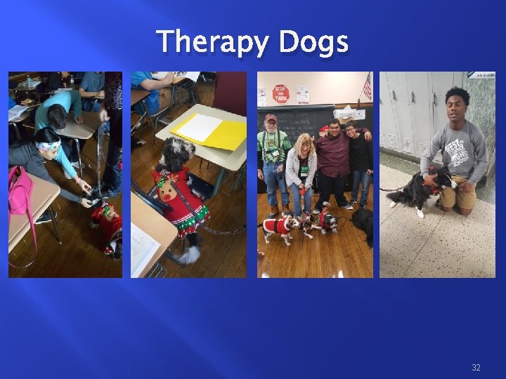 Therapy Dogs 32 