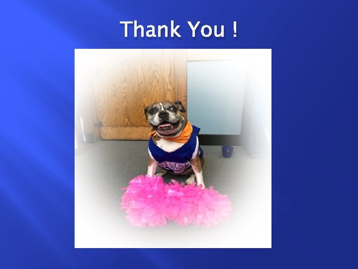 Thank You ! 