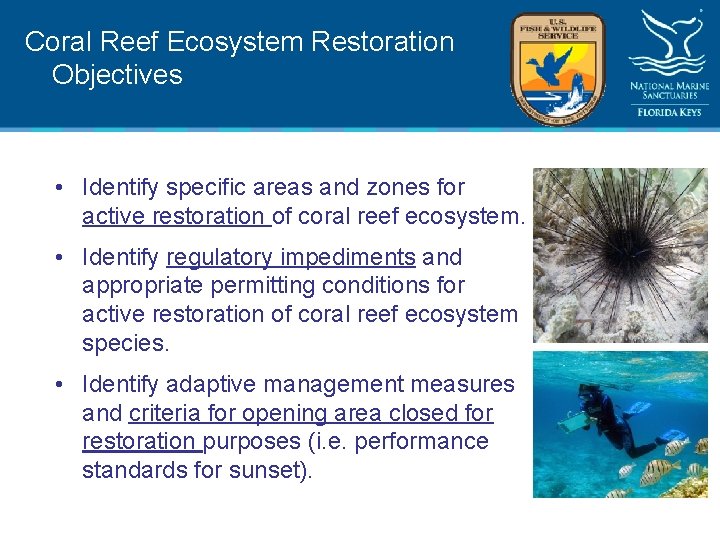 Coral Reef Ecosystem Restoration Objectives • Identify specific areas and zones for active restoration