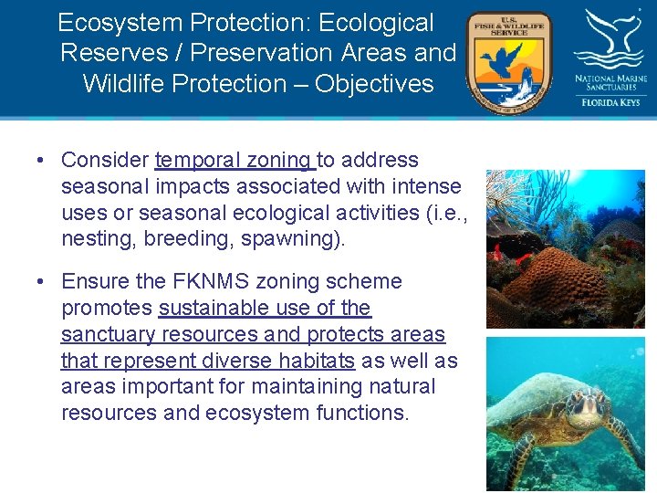 Ecosystem Protection: Ecological Reserves / Preservation Areas and Wildlife Protection – Objectives • Consider