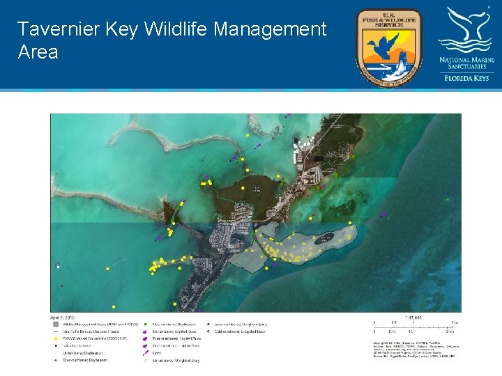 Tavernier Key Wildlife Management Area 