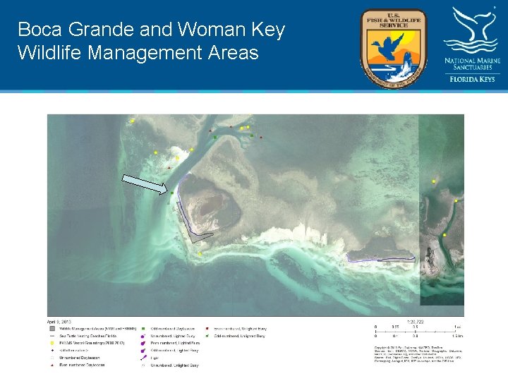 Boca Grande and Woman Key Wildlife Management Areas 