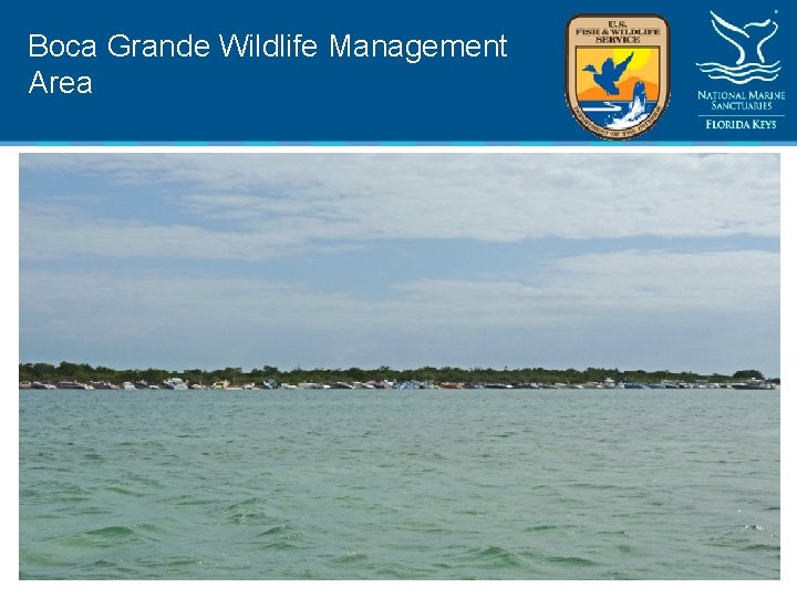 Boca Grande Wildlife Management Area 