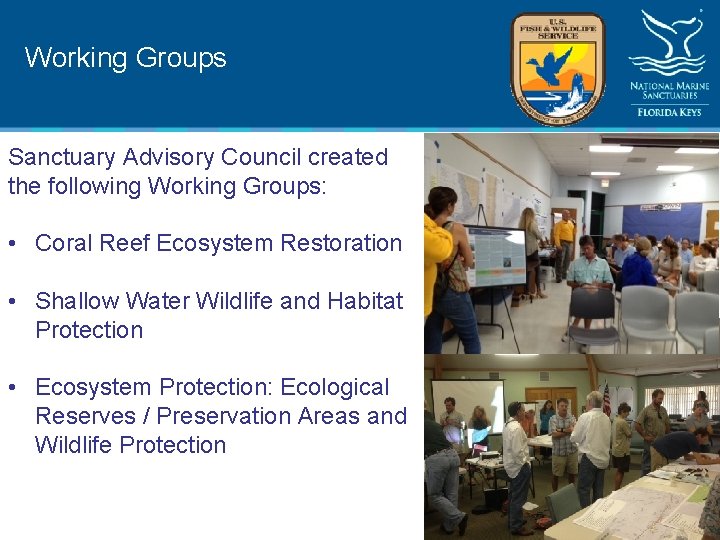 Working Groups Sanctuary Advisory Council created the following Working Groups: • Coral Reef Ecosystem