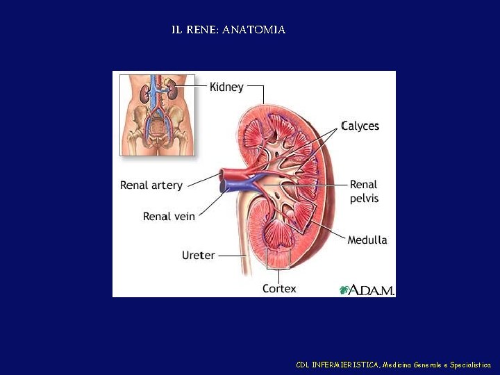 Cd L in INFERMIERISTICA Medicina Generale e Specialistica