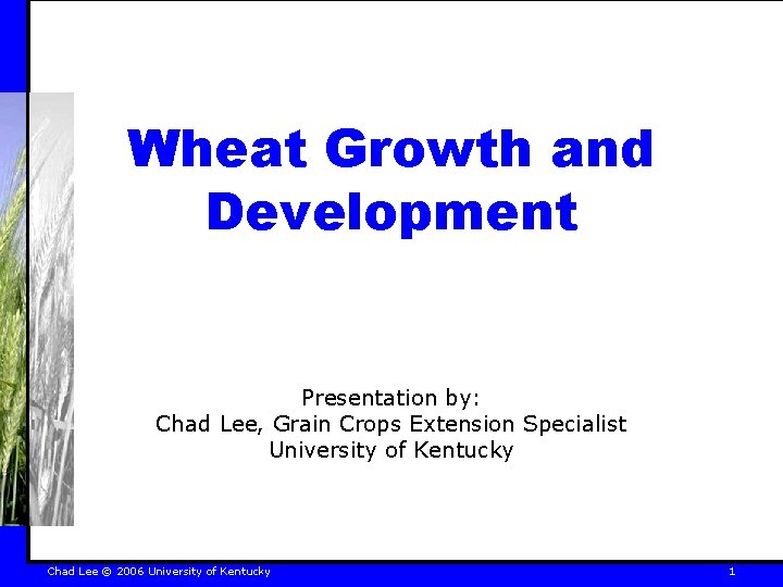 Wheat Growth and Development Presentation by: Chad Lee, Grain Crops Extension Specialist University of