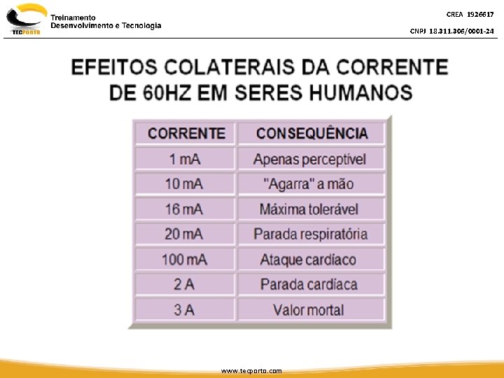 CREA 1926617 CNPJ 18. 311. 306/0001 -24 www. tecporto. com 