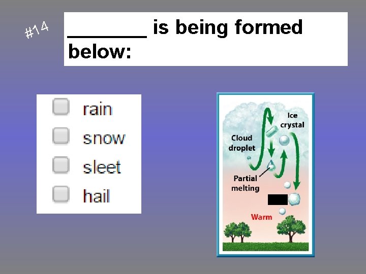 #14 _______ is being formed below: 