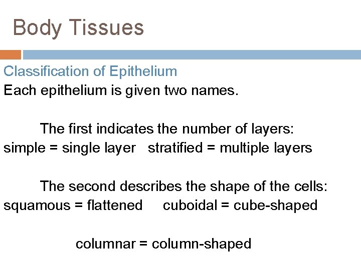 Body Tissues Classification of Epithelium Each epithelium is given two names. The first indicates