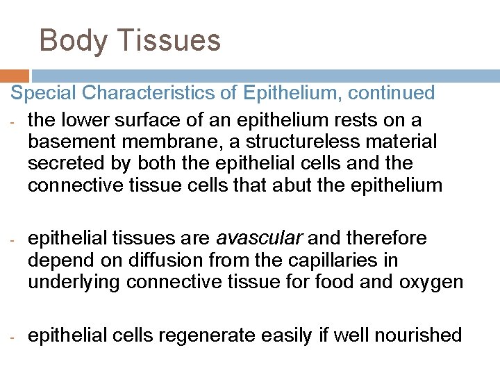 Body Tissues Special Characteristics of Epithelium, continued - the lower surface of an epithelium