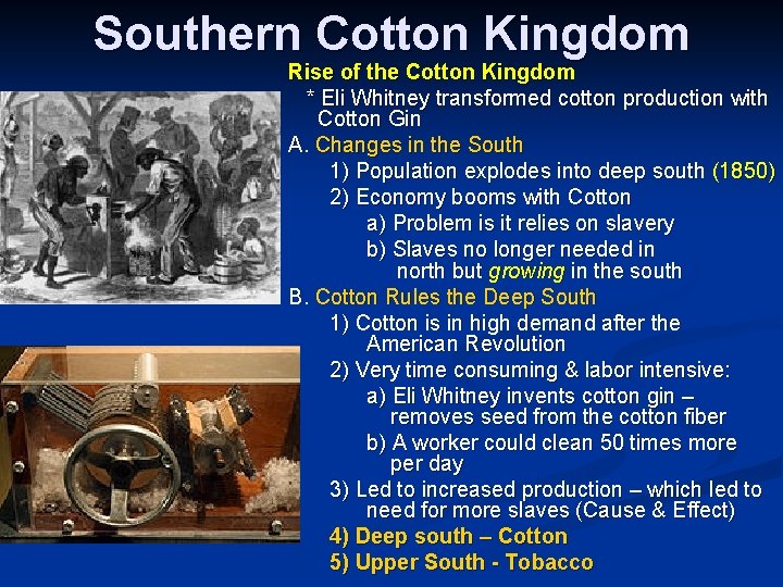 Southern Cotton Kingdom Rise of the Cotton Kingdom * Eli Whitney transformed cotton production