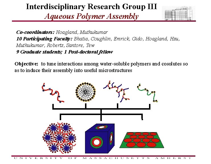 Interdisciplinary Research Group III Aqueous Polymer Assembly Co-coordinators: Hoagland, Muthukumar 10 Participating Faculty: Bhatia,