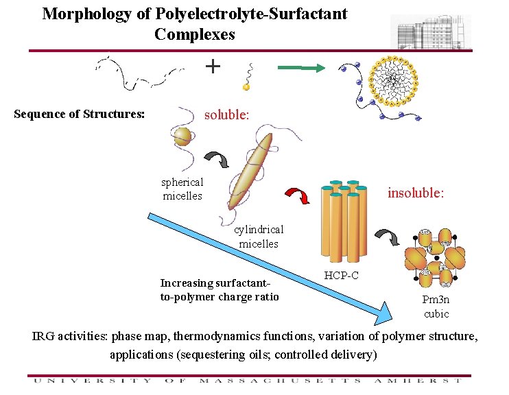 Morphology of Polyelectrolyte-Surfactant Complexes + Sequence of Structures: soluble: spherical micelles insoluble: cylindrical micelles