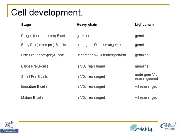 Cell development. Stage Heavy chain Light chain Progenitor (or pre-pro) B cells germline Early