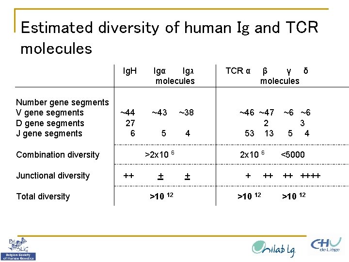 Estimated diversity of human Ig and TCR molecules Number gene segments V gene segments
