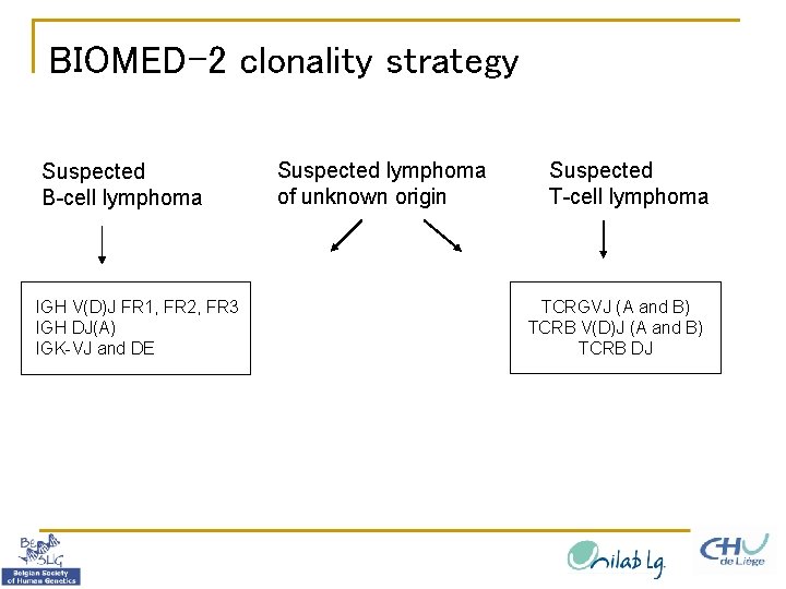BIOMED-2 clonality strategy Suspected B-cell lymphoma IGH V(D)J FR 1, FR 2, FR 3