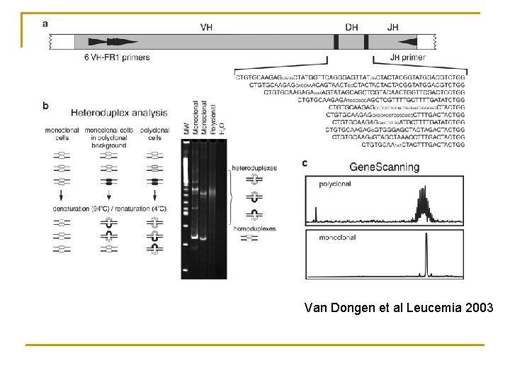 Van Dongen et al Leucemia 2003 