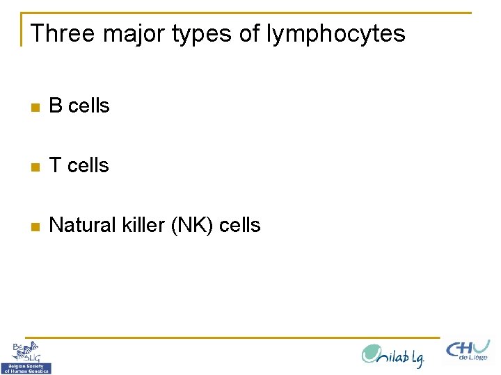 Three major types of lymphocytes n B cells n T cells n Natural killer