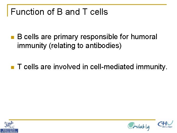 Function of B and T cells n B cells are primary responsible for humoral