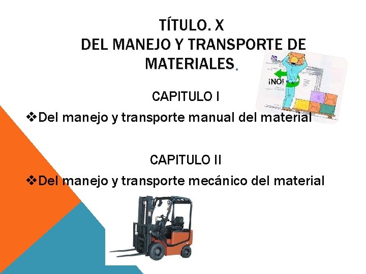 TÍTULO. X DEL MANEJO Y TRANSPORTE DE MATERIALES. CAPITULO I v. Del manejo y