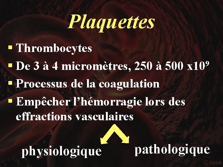 Plaquettes § Thrombocytes § De 3 à 4 micromètres, 250 à 500 x 109