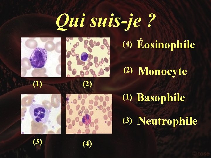 Qui suis-je ? (1) (3) (4) Éosinophile (2) Monocyte (1) Basophile (3) Neutrophile (2)
