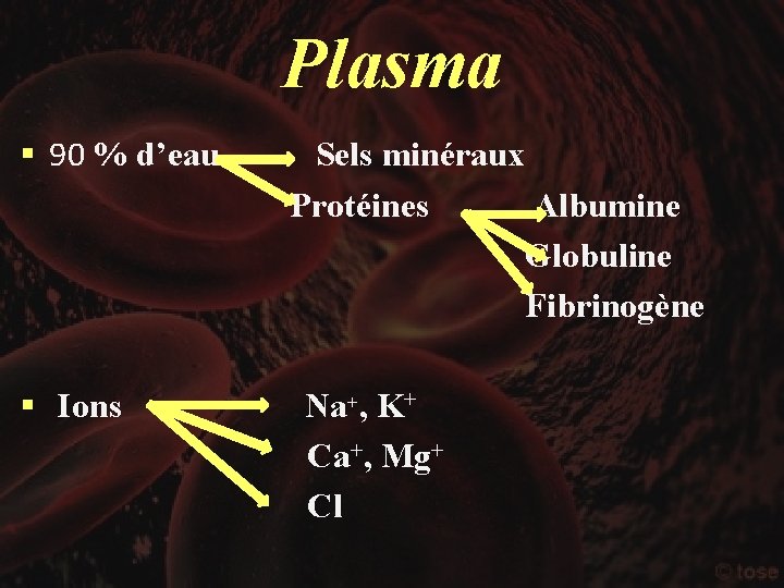 Plasma § 90 % d’eau § Ions Sels minéraux Protéines Albumine Globuline Fibrinogène Na+,