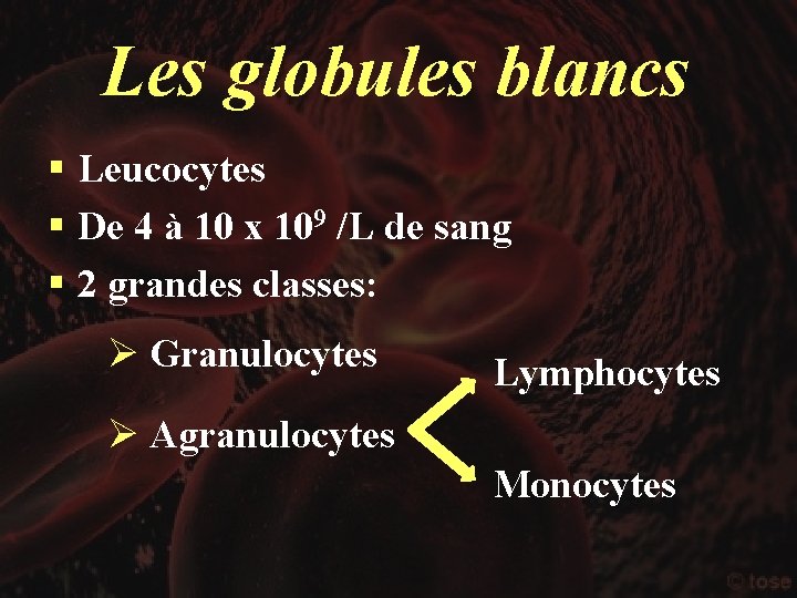 Les globules blancs § Leucocytes § De 4 à 10 x 109 /L de