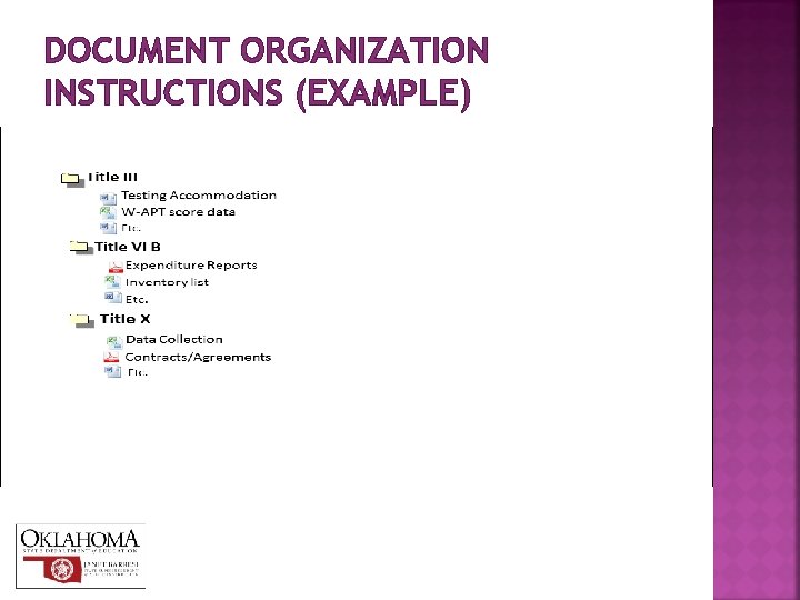 DOCUMENT ORGANIZATION INSTRUCTIONS (EXAMPLE) 